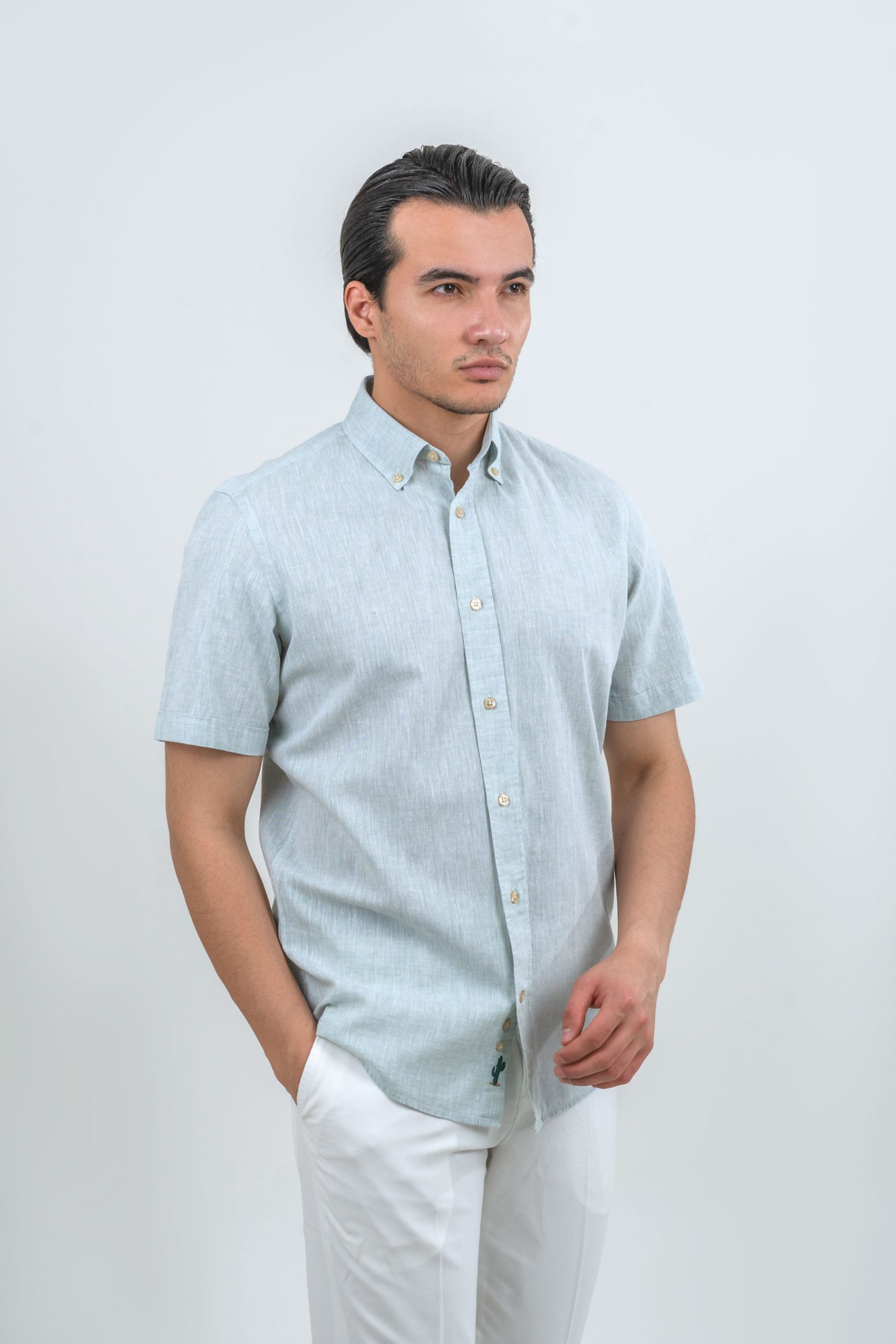 linen-shirts-geomat-sabzabi (1) پیراهن لینن آستین کوتاه سبزآبی 1091 - Image 1