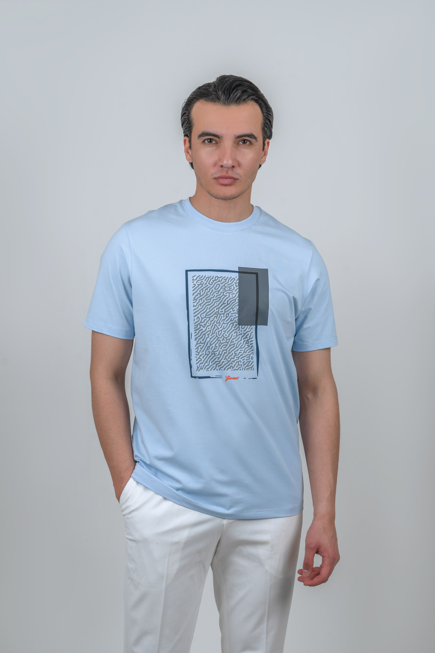 tshirt-patterned-blue (1) تیشرت یقه گرد طرحدار آبی آسمانی 2050 - Image 1